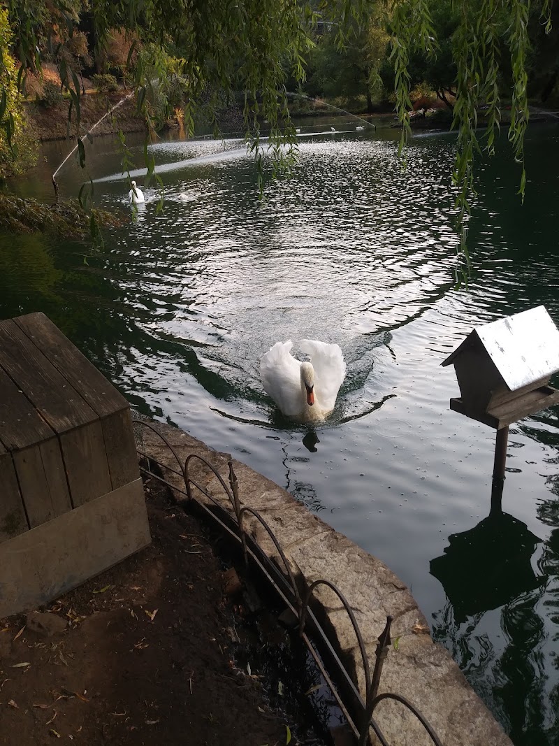 Lakeside Gardens - Event Venue in Portland, Oregon