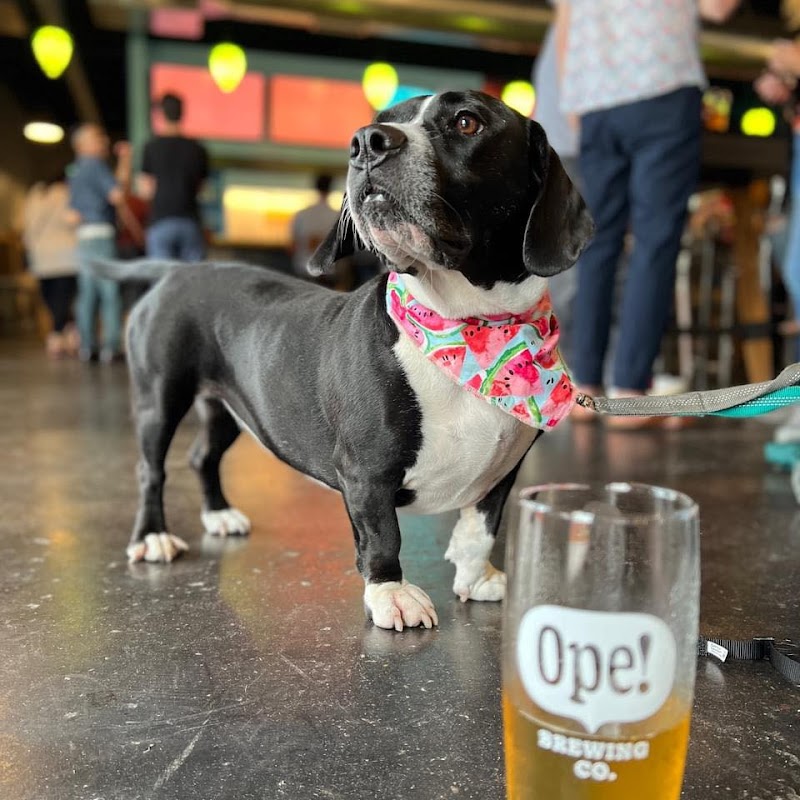 OPE! Brewing Co. - Event Venue in West Allis, Wisconsin