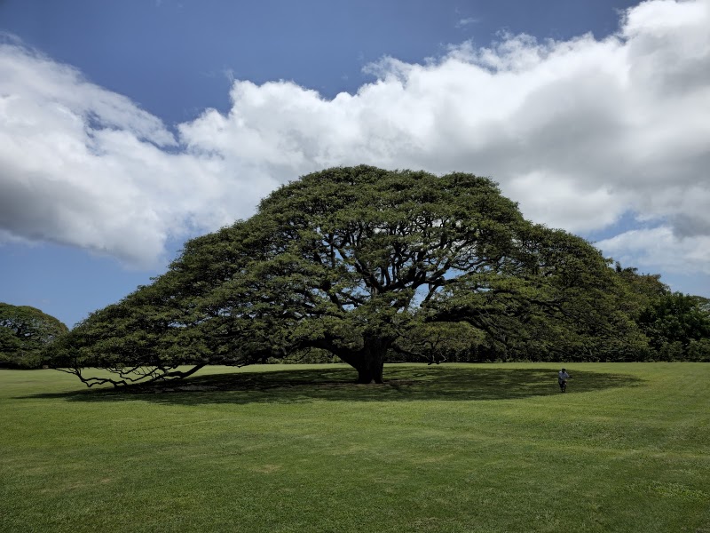 Moanalua Gardens - Event Venue in Honolulu, Hawaii