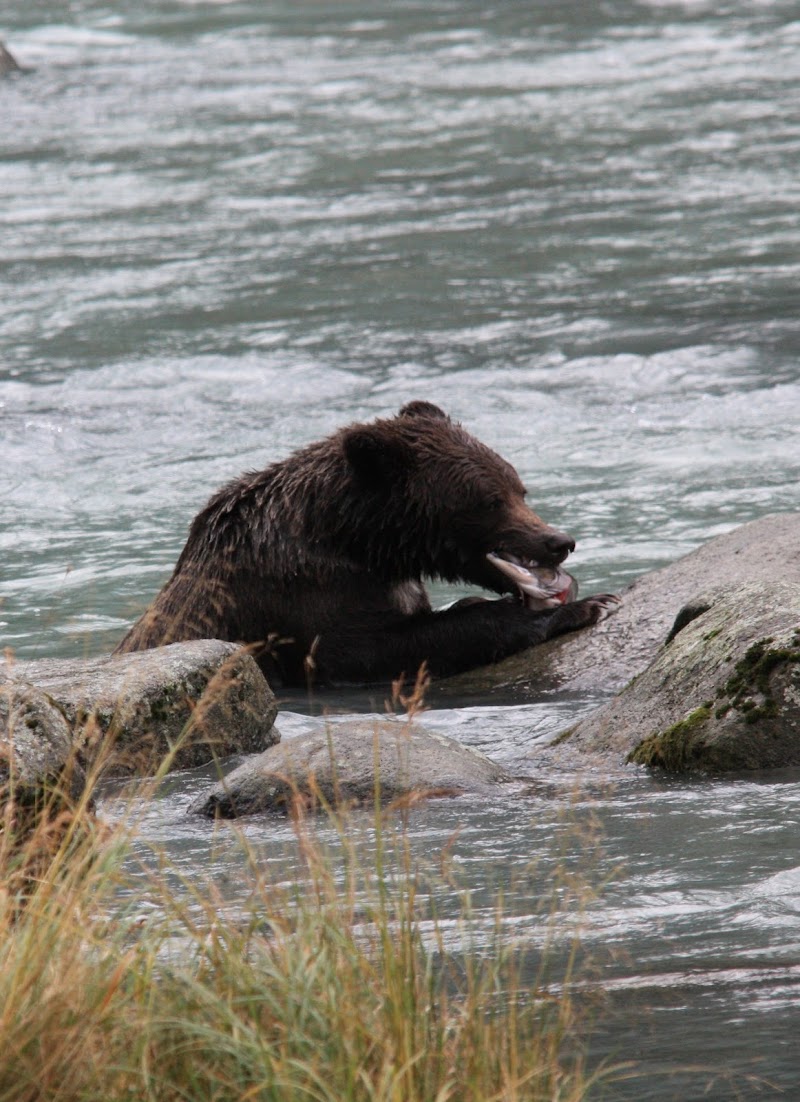 River House - Event Venue in Haines, Alaska