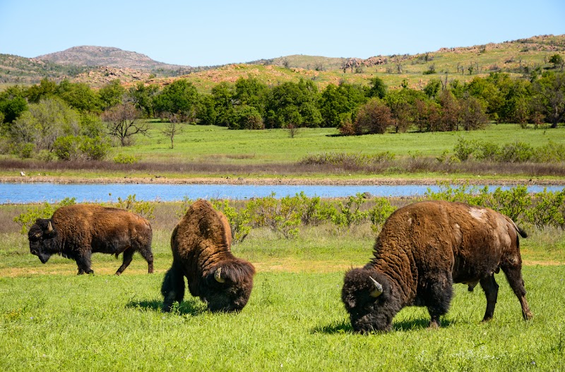 Wichita Mountains Wildlife Refuge - Event Venue in Indiahoma, Oklahoma