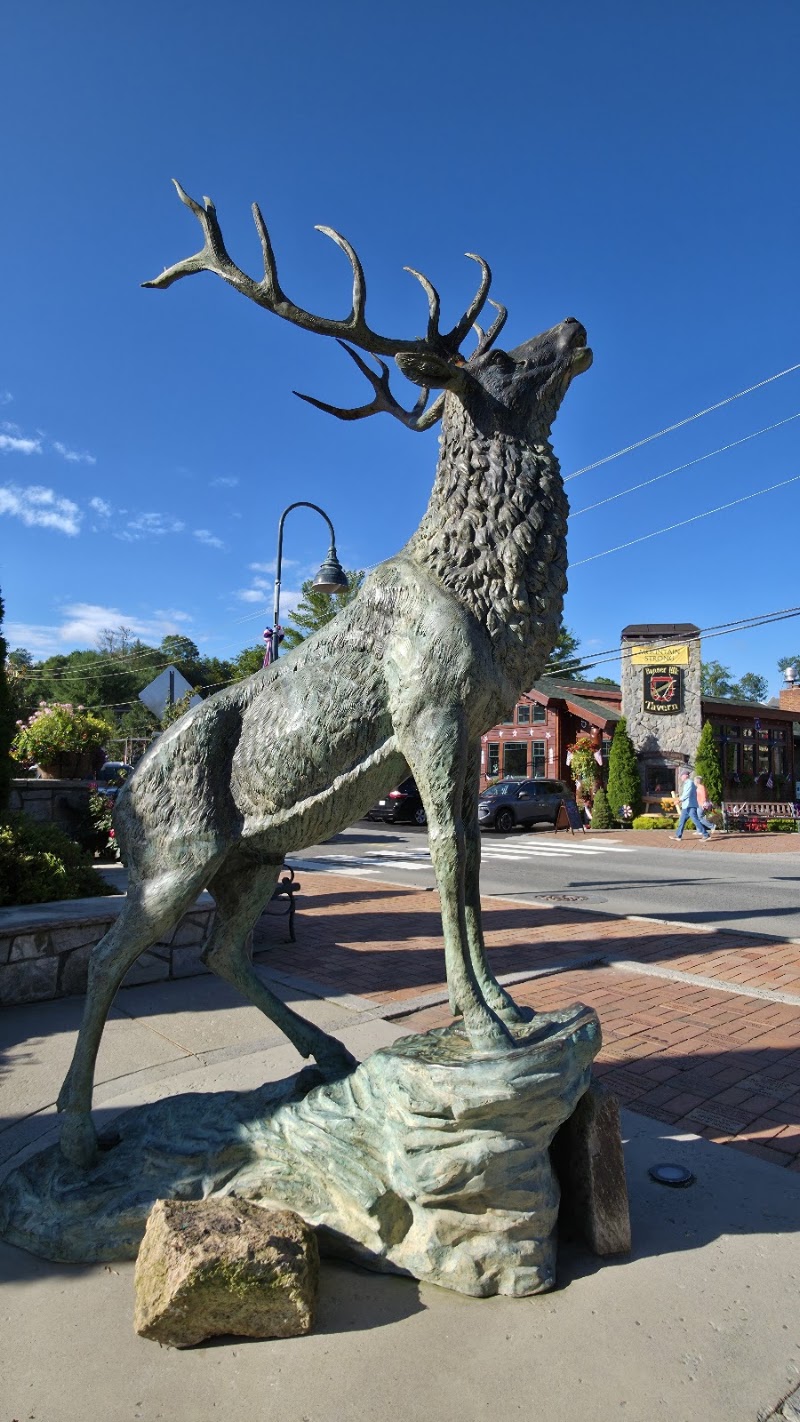 Downtown Banner Elk - Event Venue in Banner Elk, North Carolina