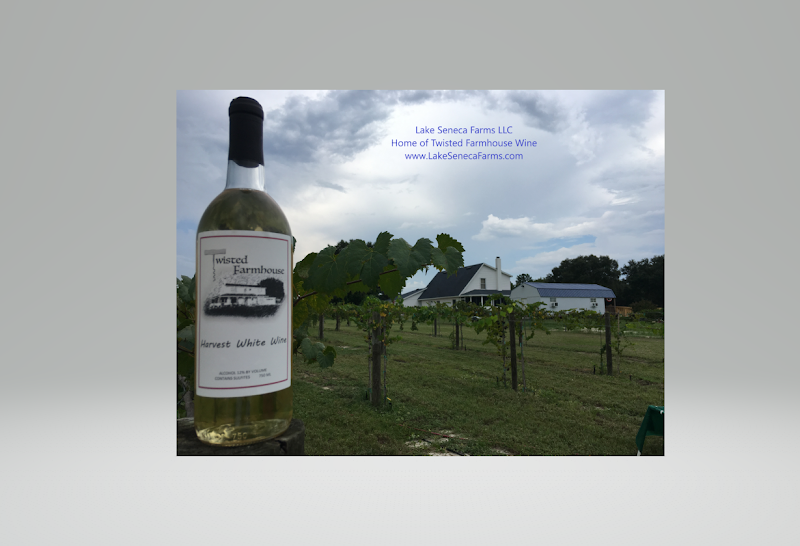 The Winery at Lake Seneca Farms - Event Venue in Eustis, Florida