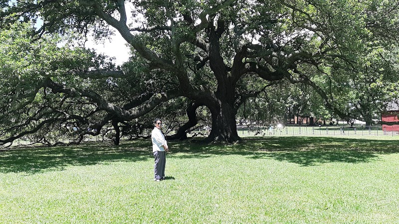 Emancipation Oak - Event Venue in Hampton, Virginia
