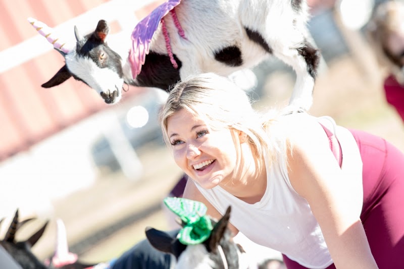 Arizona Goat Yoga - Event Venue in Gilbert, Arizona