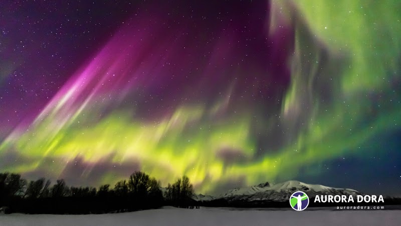 Aurora Dora - Event Venue in Talkeetna, Alaska