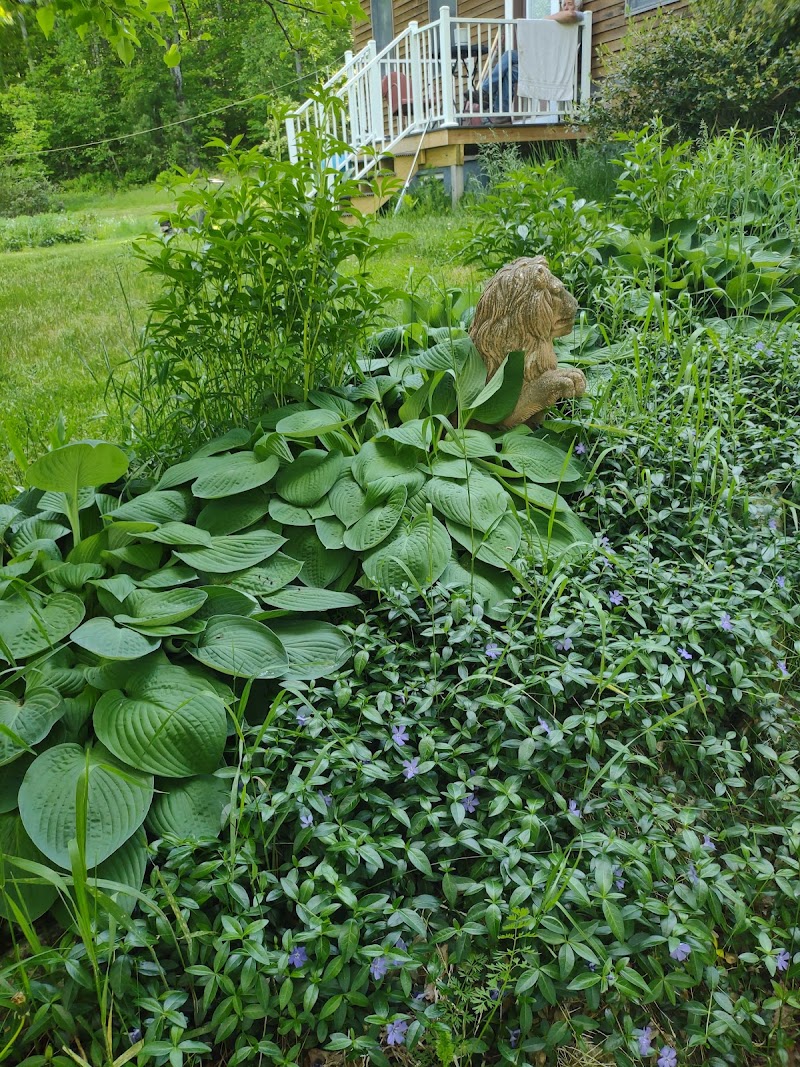 Full Wellness Retreat at Fort Ridge - Event Venue in Shapleigh, Maine