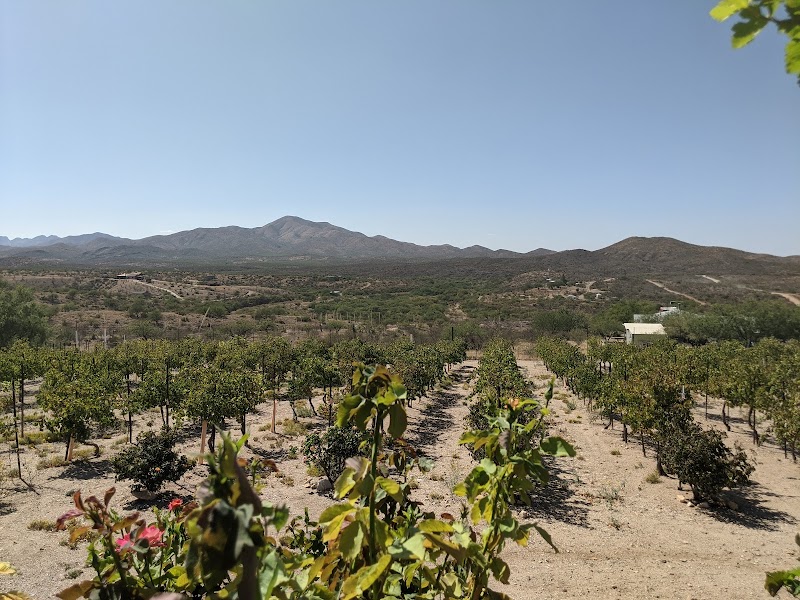 Charron Vineyards - Event Venue in Vail, Arizona