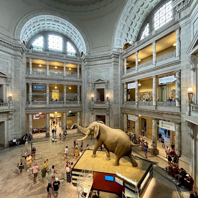 Smithsonian National Museum of Natural History - Event Venue in Washington, District of Columbia