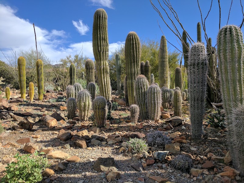 Arizona-Sonora Desert Museum - Event Venue in Tucson, Arizona