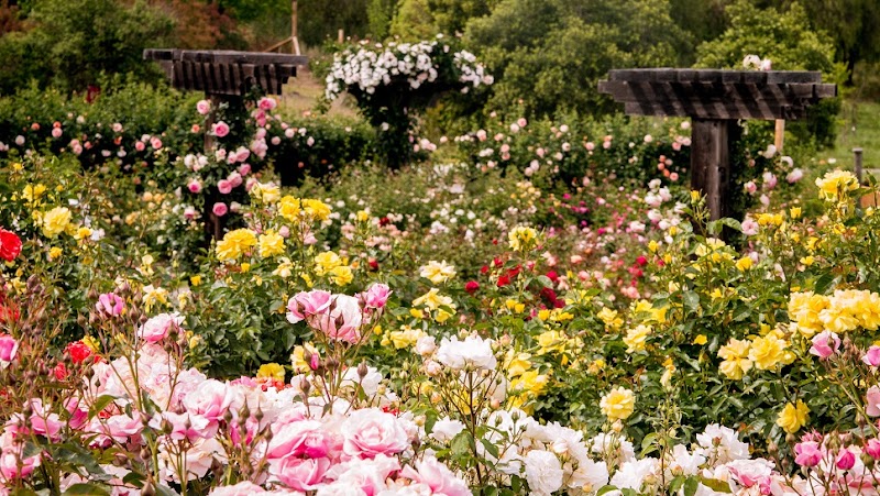 The Gardens at Heather Farm - Event Venue in Walnut Creek, California