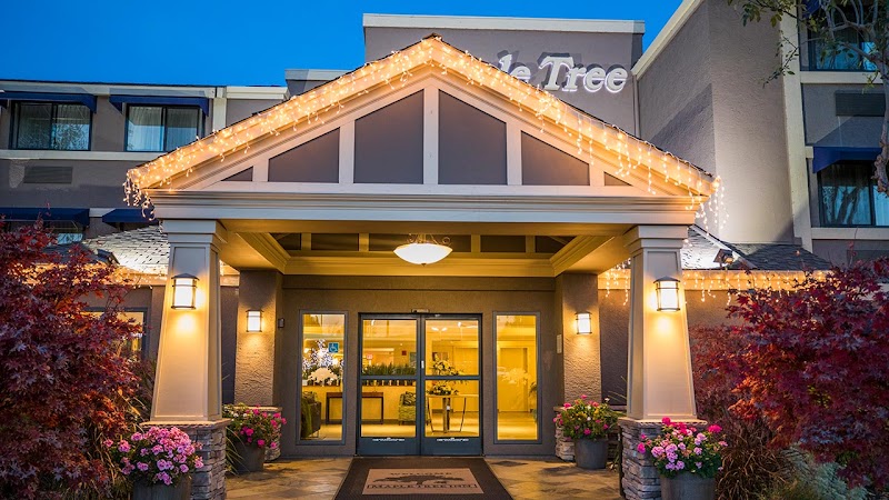 Maple Tree Inn - Event Venue in Sunnyvale, California