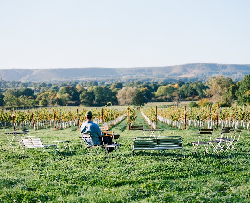 Artelium Wine Estate - Event Venue in Streat, East Sussex