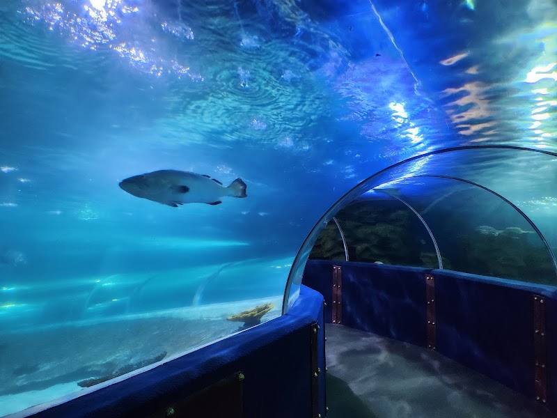 Greater Cleveland Aquarium - Event Venue in Cleveland, Ohio