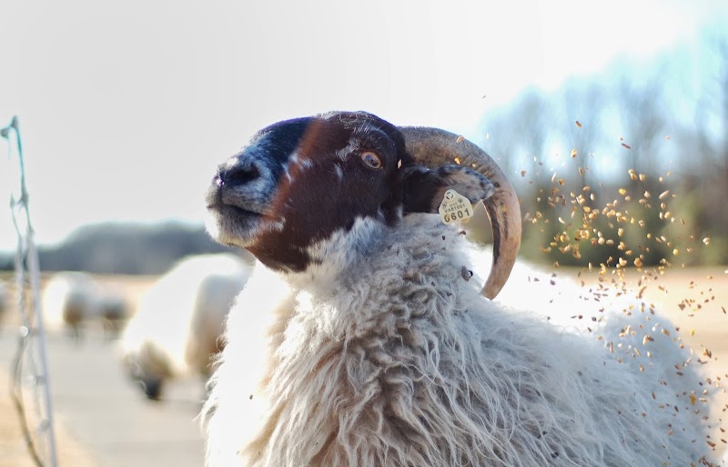 Hermitage Golf Course - Event Venue in Nashville, Tennessee