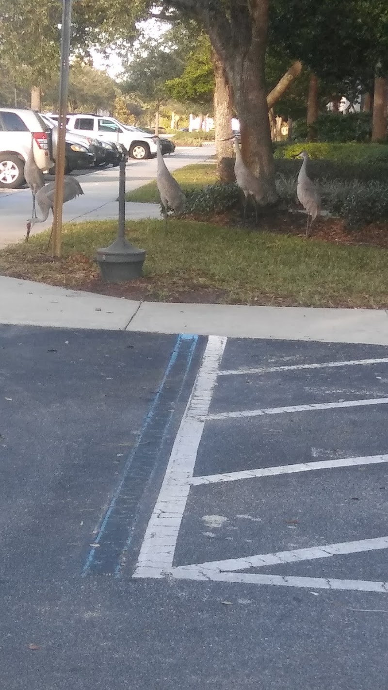 Wyndham Vacation Ownership - Event Venue in Orlando, Florida