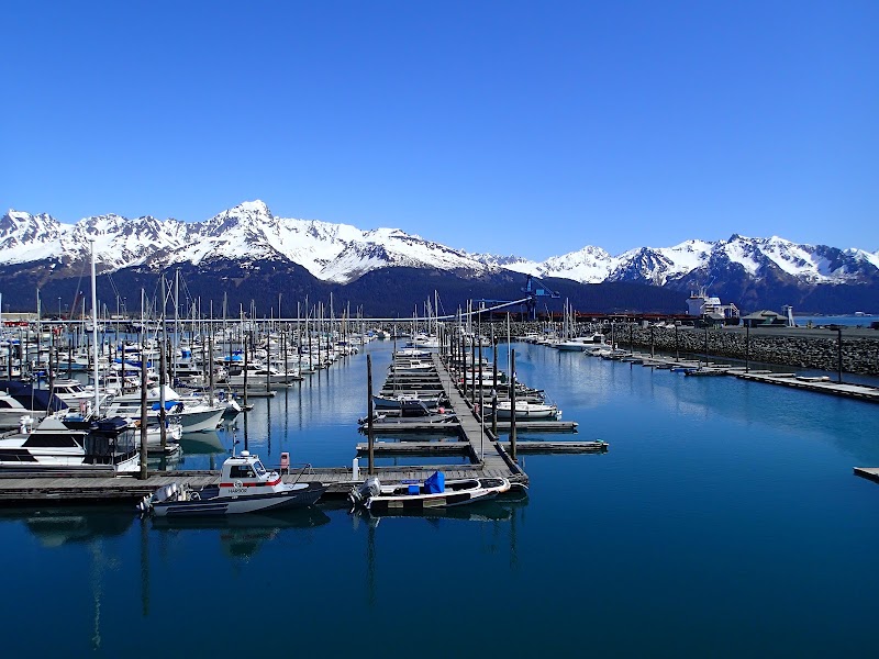 Seward Boat Harbor - Event Venue in Seward, Alaska