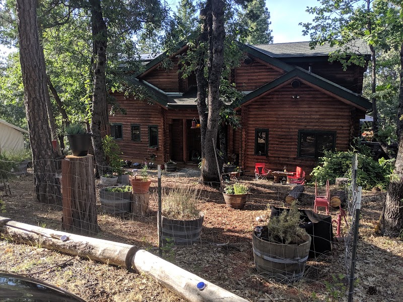 The Cub Inn - Event Venue in Groveland, California
