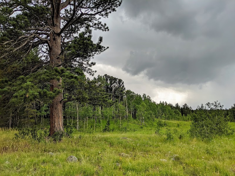 Rocky Mountain Ecodharma Retreat Center - Event Venue in Ward, Colorado