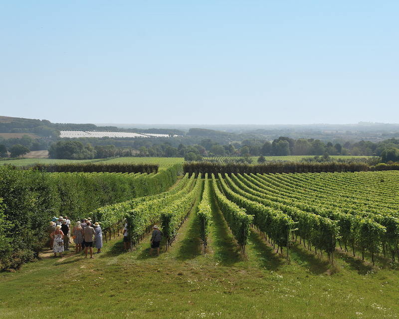 Yotes Court Vineyard - Event Venue in West Peckham, Kent