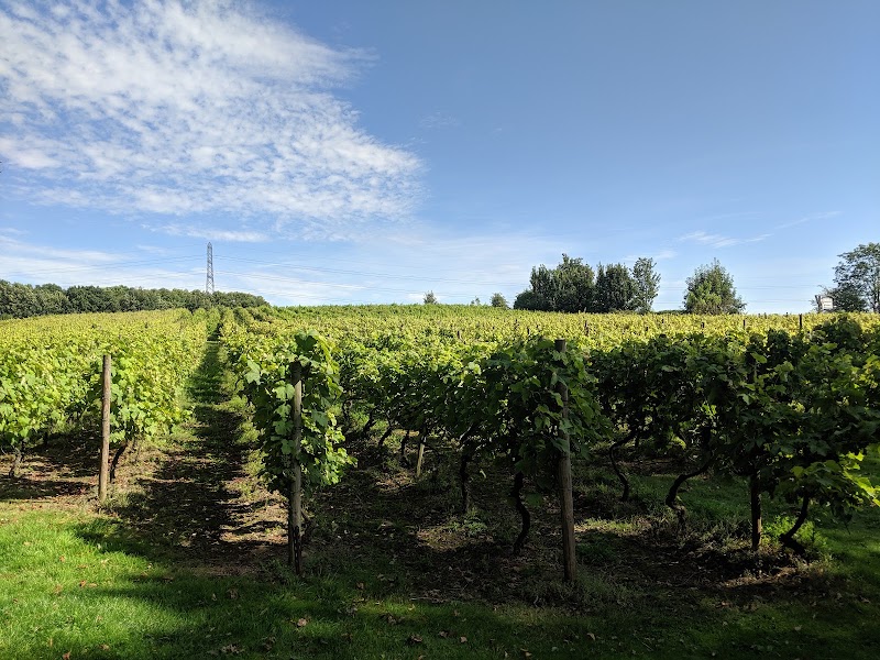 Leventhorpe Vineyard - Event Venue in Woodlesford, West Yorkshire