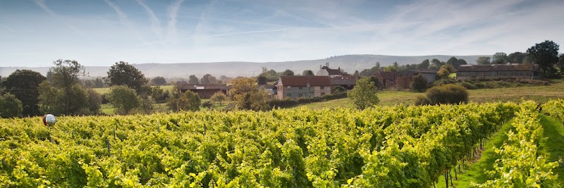 Court Garden Vineyard - Event Venue in Ditchling, East Sussex