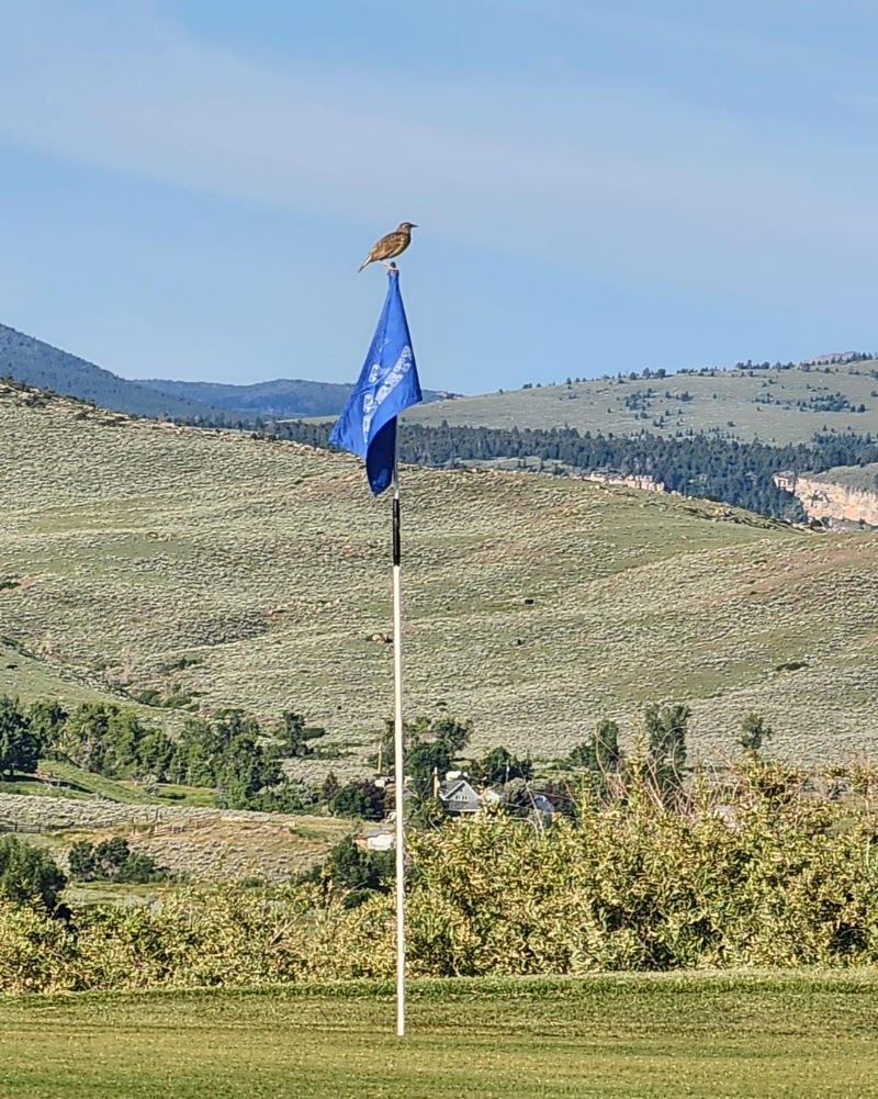 Lander Golf Course & The Peaks Bar and Grill - Event Venue in Lander, Wyoming